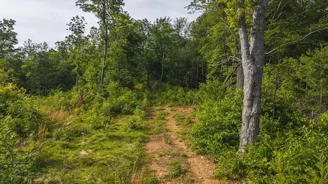 lot1 Shortcut Dr, Woolwine, VA 24185 photo 21