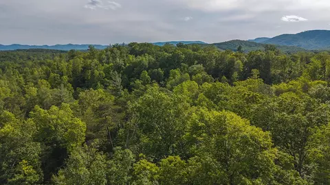 lot1 Shortcut Dr, Woolwine, VA 24185 photo 17