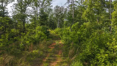 lot1 Shortcut Dr, Woolwine, VA 24185 photo 15