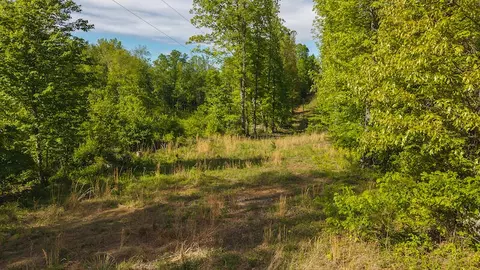 lot1 Shortcut Dr, Woolwine, VA 24185 photo 10