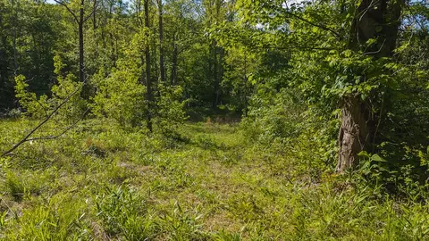 lot1 Shortcut Dr, Woolwine, VA 24185 photo 9
