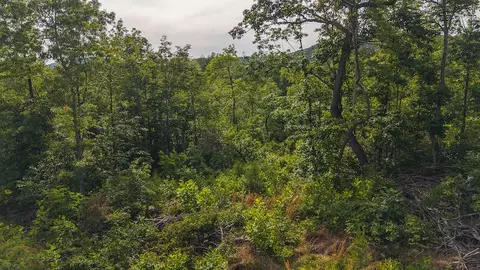 lot1 Shortcut Dr, Woolwine, VA 24185 photo 20