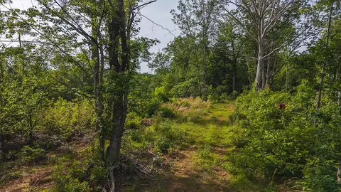 lot1 Shortcut Dr, Woolwine, VA 24185 photo 16