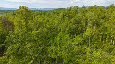 lot2 Shortcut Dr, Woolwine, VA 24185 photo 5