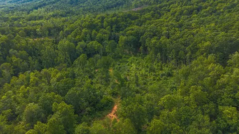 lot2 Shortcut Dr, Woolwine, VA 24185 photo 10