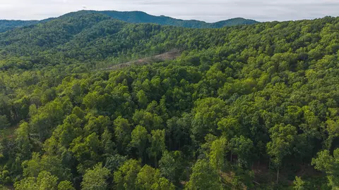 lot2 Shortcut Dr, Woolwine, VA 24185 photo 13
