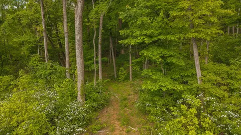 lot2 Shortcut Dr, Woolwine, VA 24185 photo 8