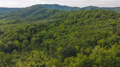 lot2 Shortcut Dr, Woolwine, VA 24185 photo 11
