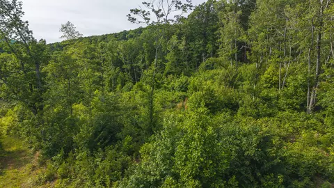 lot2 Shortcut Dr, Woolwine, VA 24185 photo 9