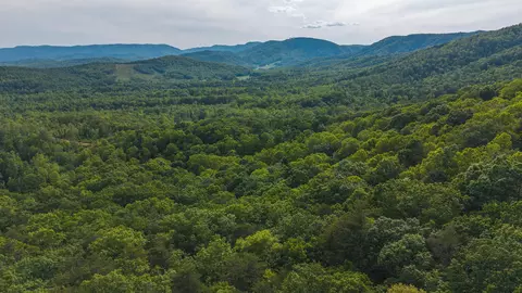 lot2 Shortcut Dr, Woolwine, VA 24185 photo 12
