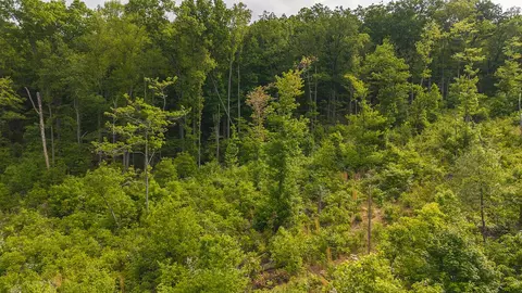 lot2 Shortcut Dr, Woolwine, VA 24185 photo 4