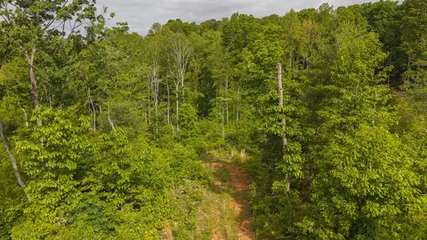 lot2 Shortcut Dr, Woolwine, VA 24185 photo 2