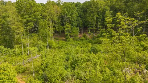 lot2 Shortcut Dr, Woolwine, VA 24185 photo 3