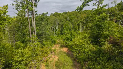 lot2 Shortcut Dr, Woolwine, VA 24185