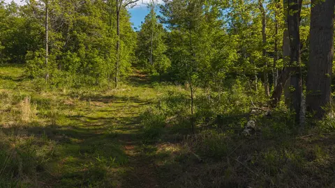 lot3 Shortcut Dr, Woolwine, VA 24185