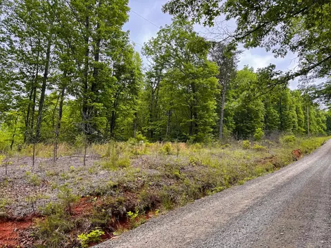 lot4 Shortcut Dr, Woolwine, VA 24185