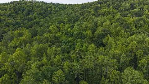 lot5 Shortcut Dr, Woolwine, VA 24185 photo 8