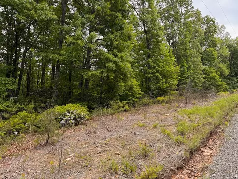 lot5 Shortcut Dr, Woolwine, VA 24185