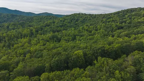 lot5 Shortcut Dr, Woolwine, VA 24185 photo 6
