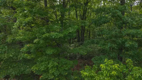 lot5 Shortcut Dr, Woolwine, VA 24185 photo 10