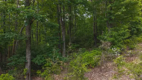 lot5 Shortcut Dr, Woolwine, VA 24185 photo 4