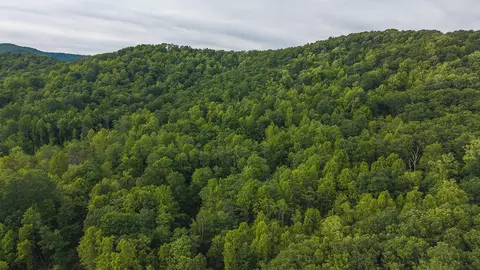 lot5 Shortcut Dr, Woolwine, VA 24185 photo 7