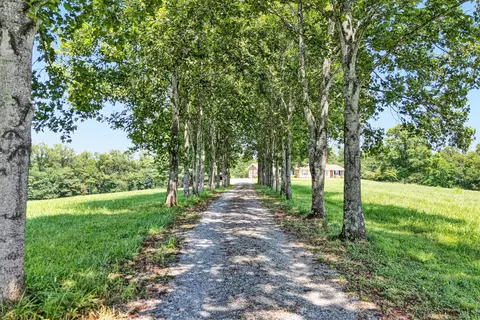 9732 Goodview Rd, Goodview, VA 24095 photo 53