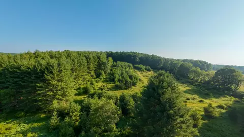 3 Merifield Road Northwest, Willis, VA 24380 photo 5