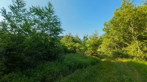 3 Merifield Road Northwest, Willis, VA 24380 photo 21