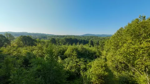 3 Merifield Road Northwest, Willis, VA 24380 photo 20