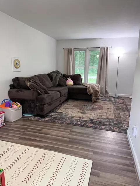 Living - 1203 Bruno Dr, Goodview, VA 24095 photo 6 of 6