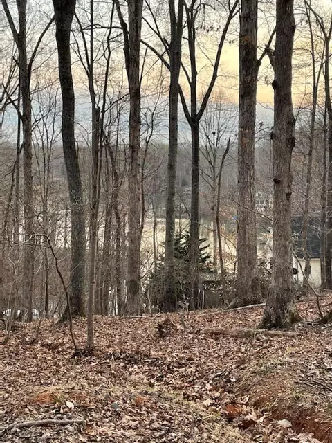 lot4 Charmwood Cir, Moneta, VA 24121
