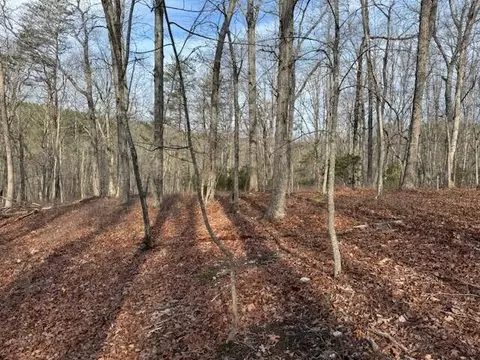 lot36 Chestnut Dr, Hardy, VA 24101
