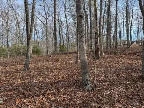 lot38 Chestnut Dr, Hardy, VA 24101