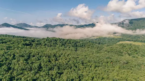 0 Buffalo Rd, Buchanan, VA 24066