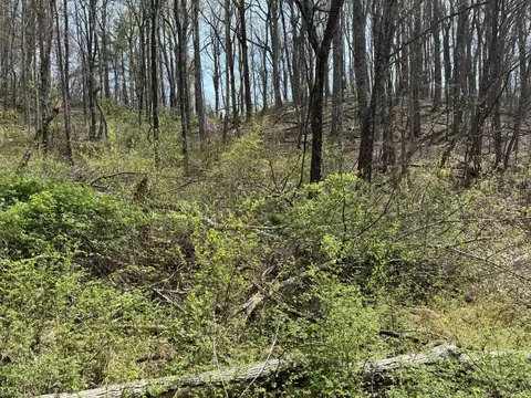 lot3 4 Murray Hollow Rd, Thaxton, VA 24174