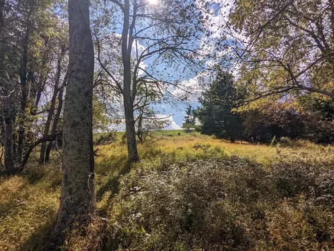 879 Stuart Rd SE, Copper Hill, VA 24079 photo 7