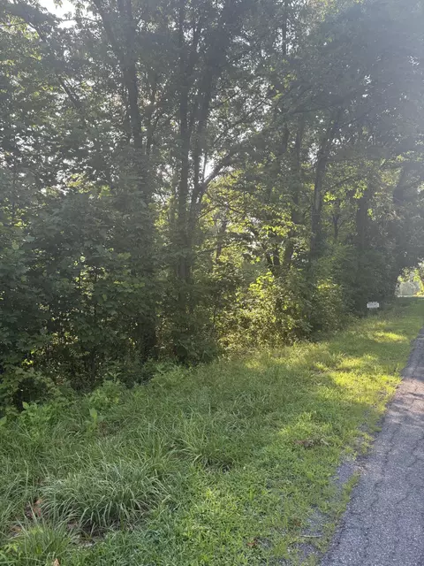0 Oak Ridge Rd, Buchanan, VA 24066