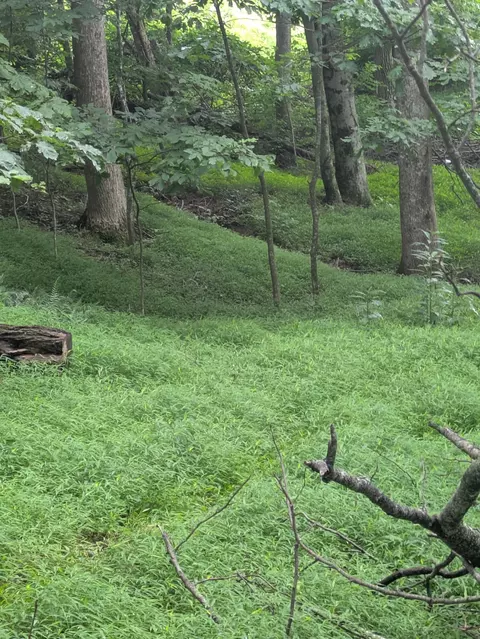 lot5 Elk Spur Rd, Fancy Gap, VA 24328