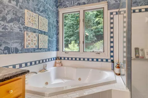 Bath - 2156 Stone Mill Dr, Salem, VA 24153 photo 3 of 5