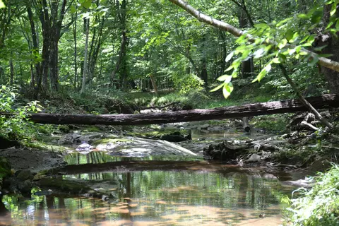 469 Tall Tree Rd, Wirtz, VA 24184