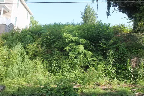 0 Church Ave SE, Roanoke, VA 24013 photo 5