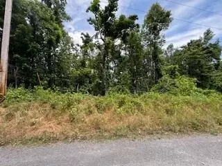 lot17 Whispering Heights Dr, Hardy, VA 24101