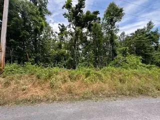 lot17 Whispering Heights Dr, Hardy, VA 24101