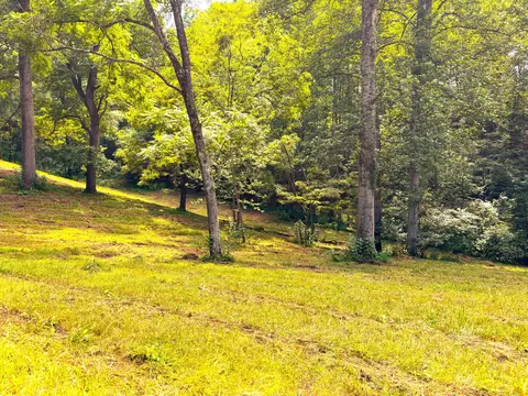 1235 Rock Spring Rd, Goodview, VA 24095 photo 55