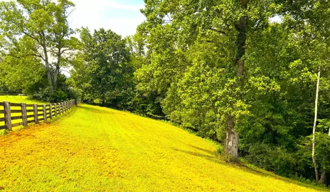 1235 Rock Spring Rd, Goodview, VA 24095 photo 60