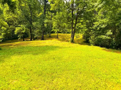 1235 Rock Spring Rd, Goodview, VA 24095 photo 51