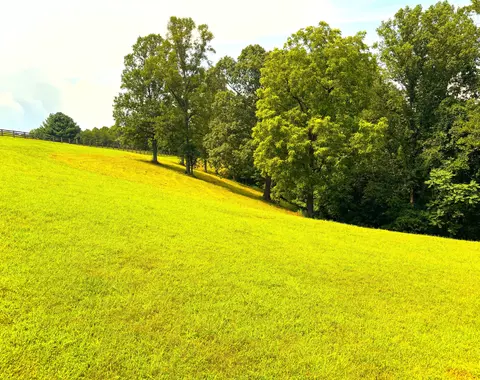 1235 Rock Spring Rd, Goodview, VA 24095 photo 61