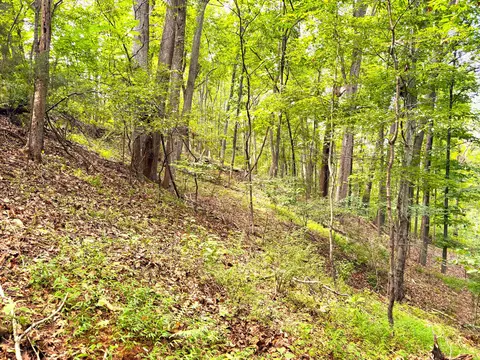 1235 Rock Spring Rd, Goodview, VA 24095 photo 58