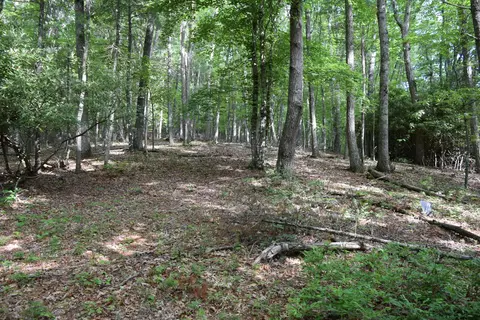 1866 Firehouse Rd NW, Willis, VA 24380